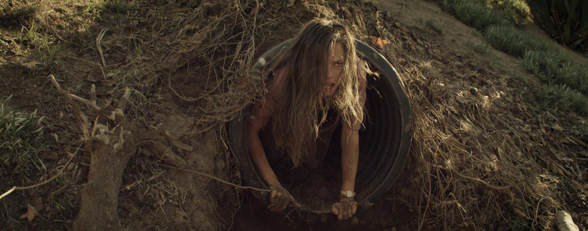 Мученицы (2015)