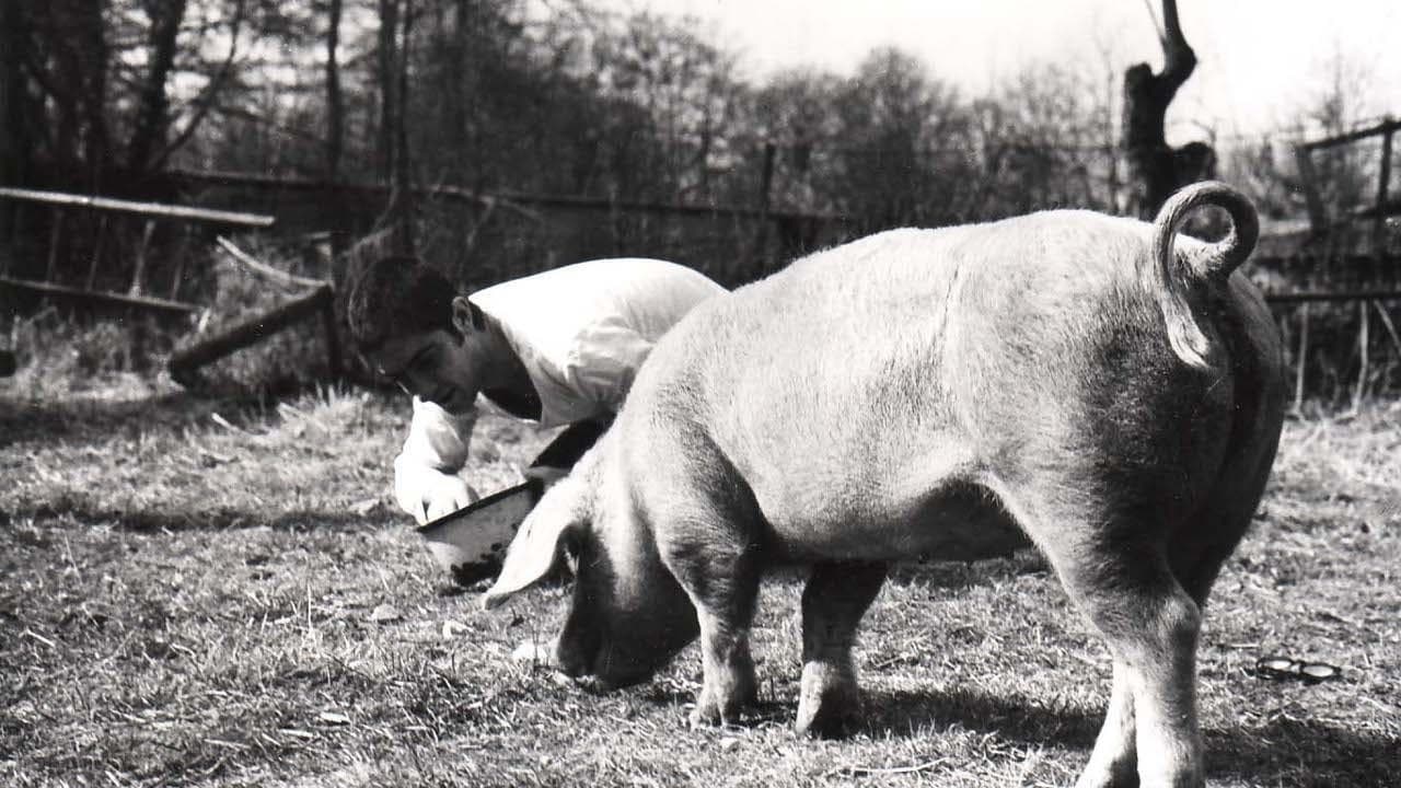 Свадебная ваза (1974)