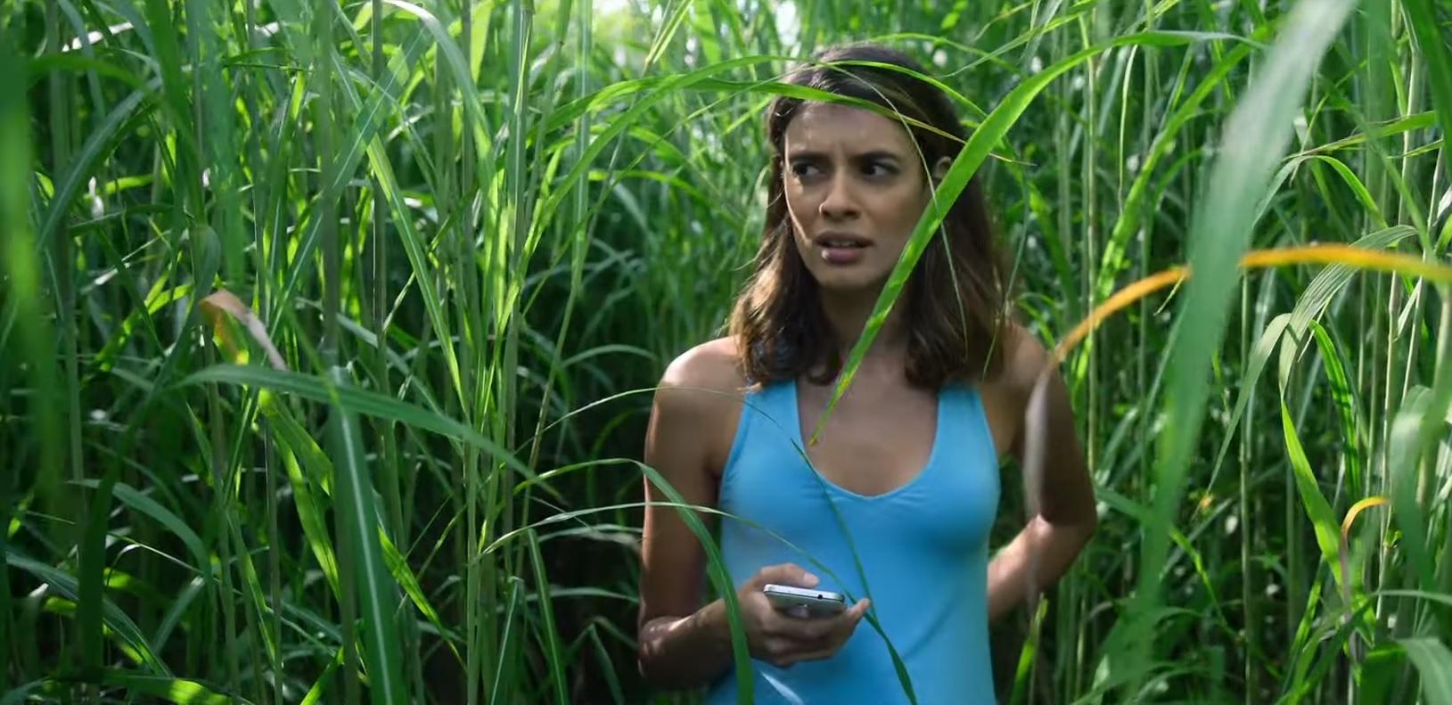 Высокая зелёная трава (2019)