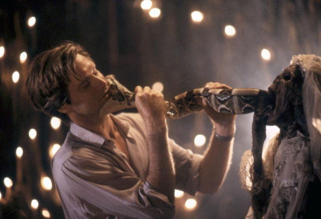 Змей и радуга (1987)