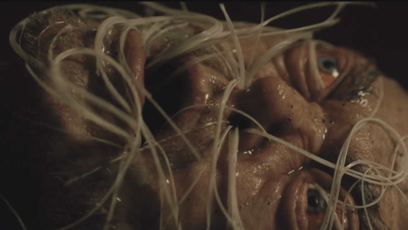 Траншея 11 (2017)